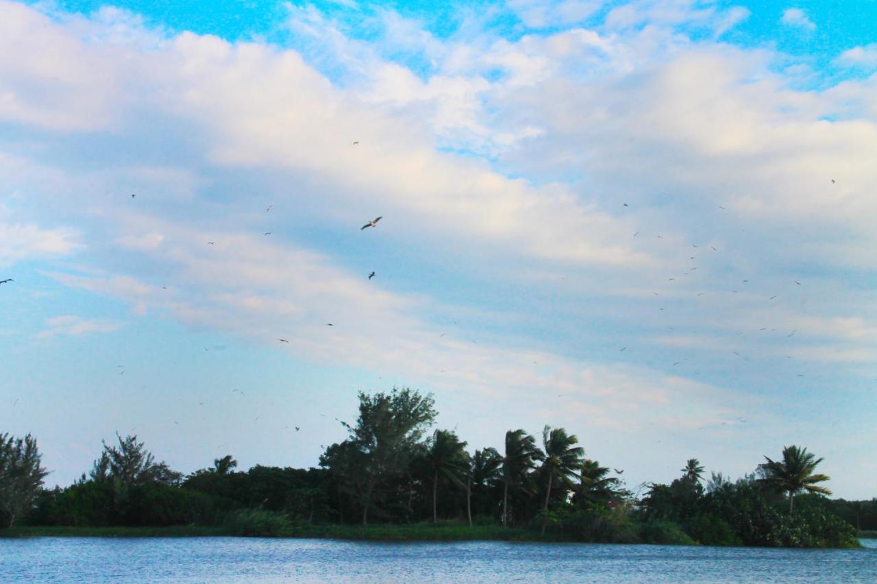 Hotel Gran Palmeiras Playa Chachalacas ภายนอก รูปภาพ